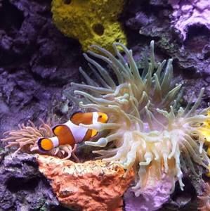 Meet your Posher, Ethan